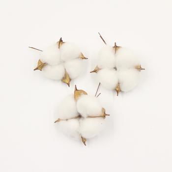 Ghirlandă de Crăciun pentru decor cu flori uscate de bumbac, flori eterne și bumbac simulant