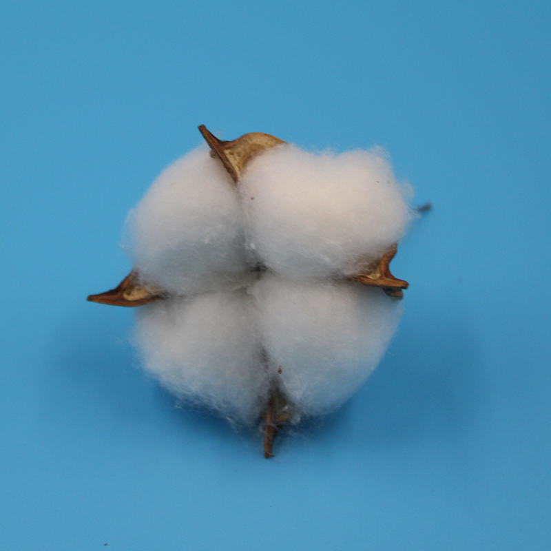 Ghirlandă de Crăciun pentru decor cu flori uscate de bumbac, flori eterne și bumbac simulant