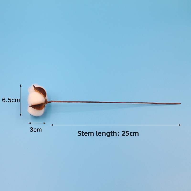 Kalėdinis vainikas dekorui su džiovintais medvilnės žiedais, amžinai žydinčiais žiedais ir dirbtine medvilne