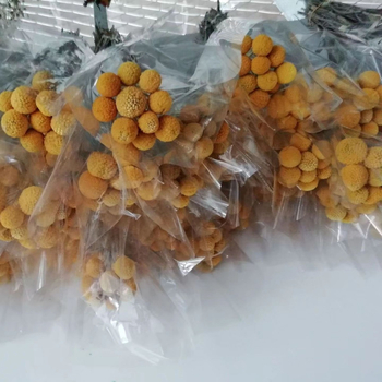 Szárított virágokból álló csokor, Gold ball fajta, száraz levél erek, Mandala márka, zacskóban csomagolva