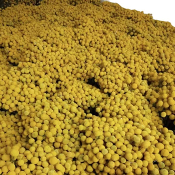 Szárított virágokból álló csokor, Gold ball fajta, száraz levél erek, Mandala márka, zacskóban csomagolva