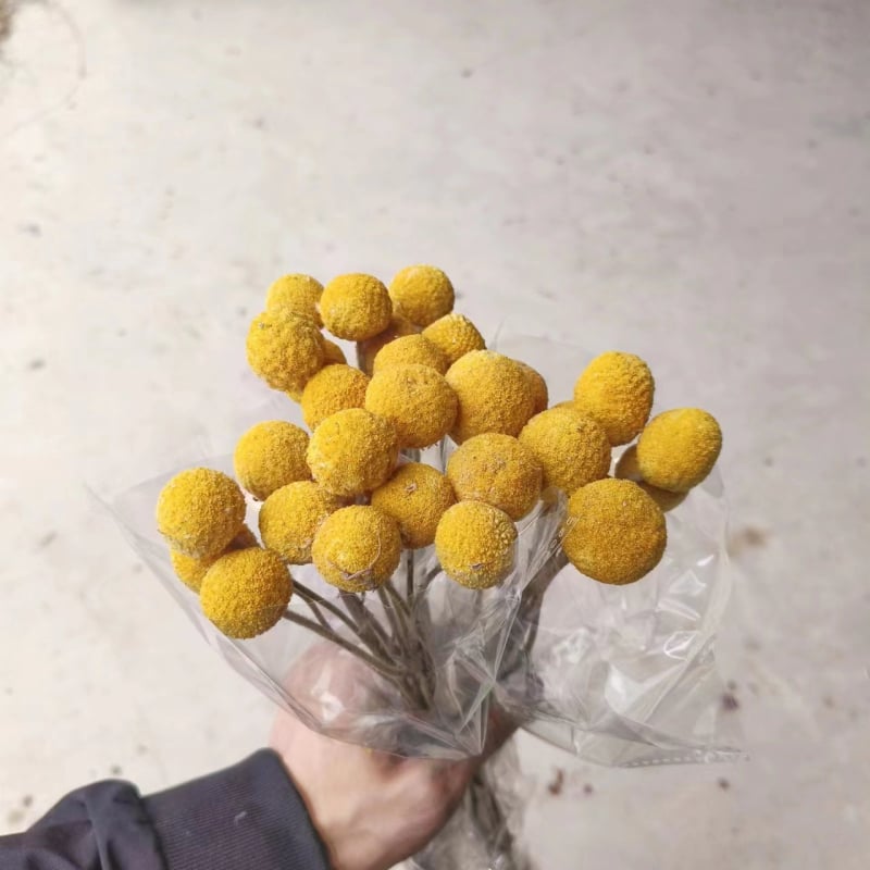 Szárított virágokból álló csokor, Gold ball fajta, száraz levél erek, Mandala márka, zacskóban csomagolva