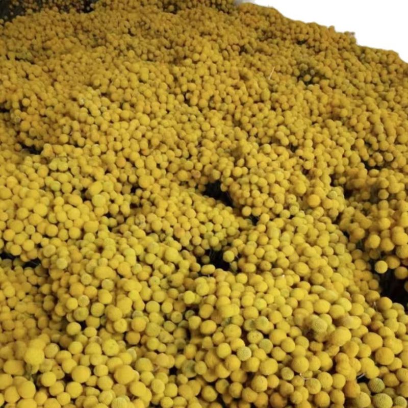 Szárított virágokból álló csokor, Gold ball fajta, száraz levél erek, Mandala márka, zacskóban csomagolva