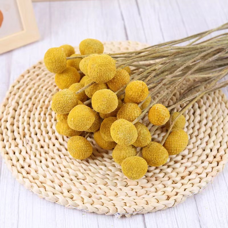 Szárított virágokból álló csokor, Gold ball fajta, száraz levél erek, Mandala márka, zacskóban csomagolva