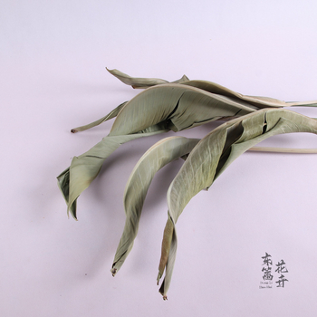 Букет сухи цветя Райска птица за показване и сватбена декорация — East Fence