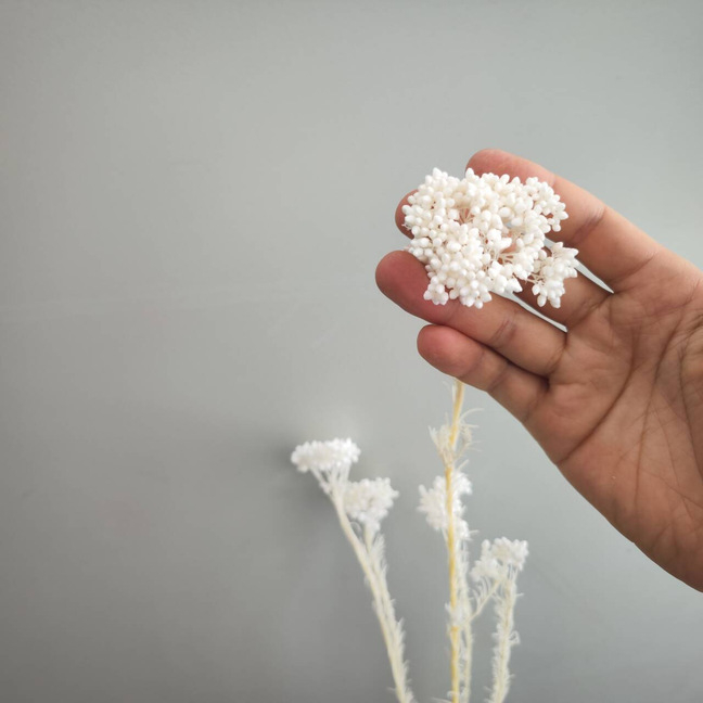 Szárított virágokból álló csokor rizs- és köles virágokkal DIY otthoni dekorációhoz