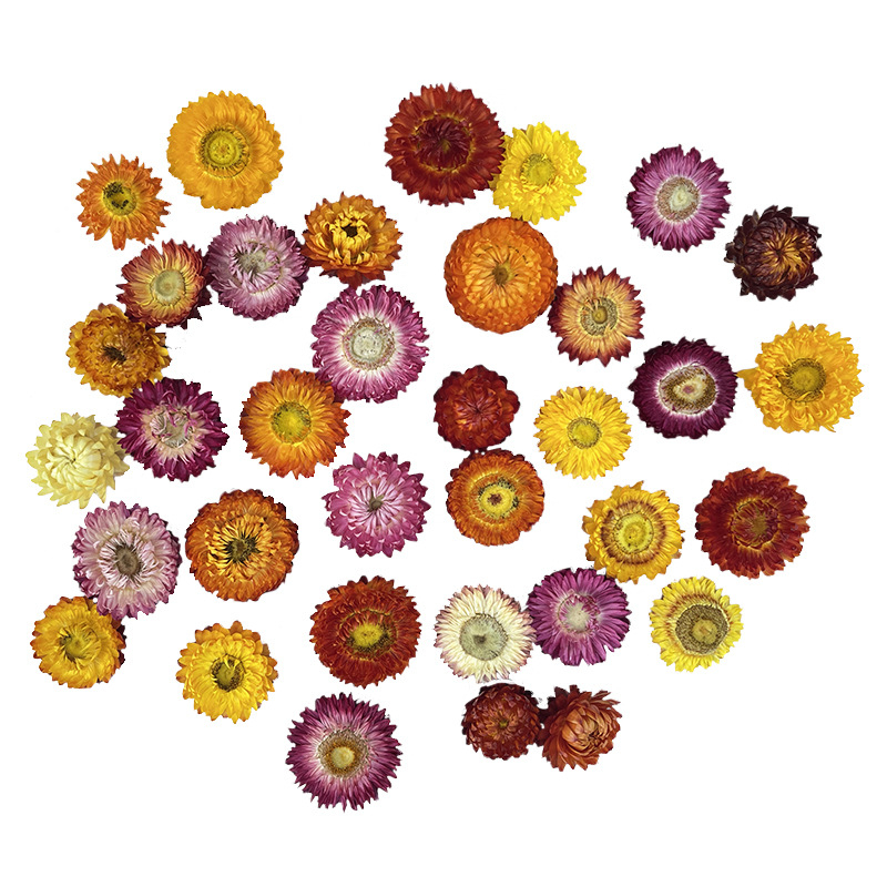 Virágok – színezést nem tartalmazó szárított krizantémafejek, koszorúhoz/csokorhoz, karton csomagolás