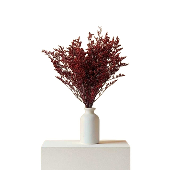 Szerelmes fű ágak, szárított virágok, festetlen, papírdobozos csomagolás