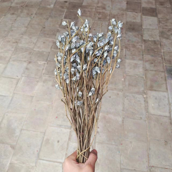 Szárított eukaliptusz virágok virágkosárhoz — típus: gyümölcs, fajta: eukaliptusz, színezés nélküli, csomagolás: karton