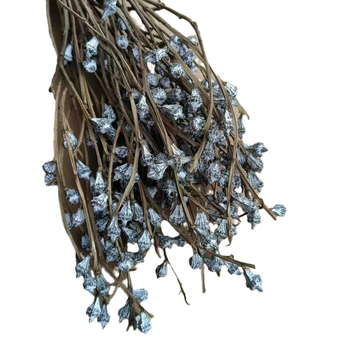 Szárított eukaliptusz virágok virágkosárhoz — típus: gyümölcs, fajta: eukaliptusz, színezés nélküli, csomagolás: karton