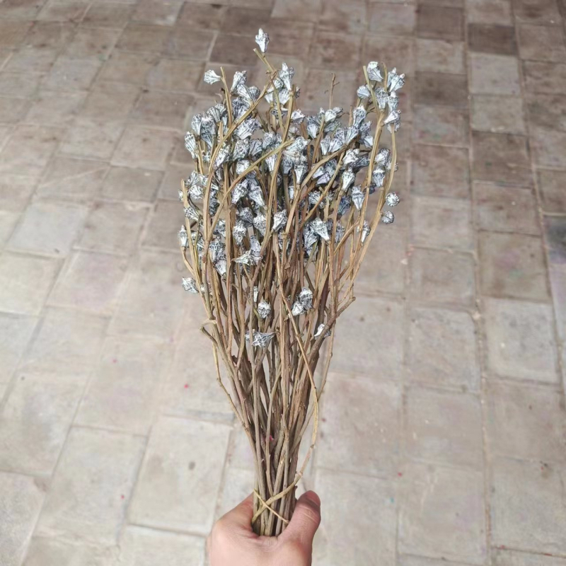 Szárított eukaliptusz virágok virágkosárhoz — típus: gyümölcs, fajta: eukaliptusz, színezés nélküli, csomagolás: karton