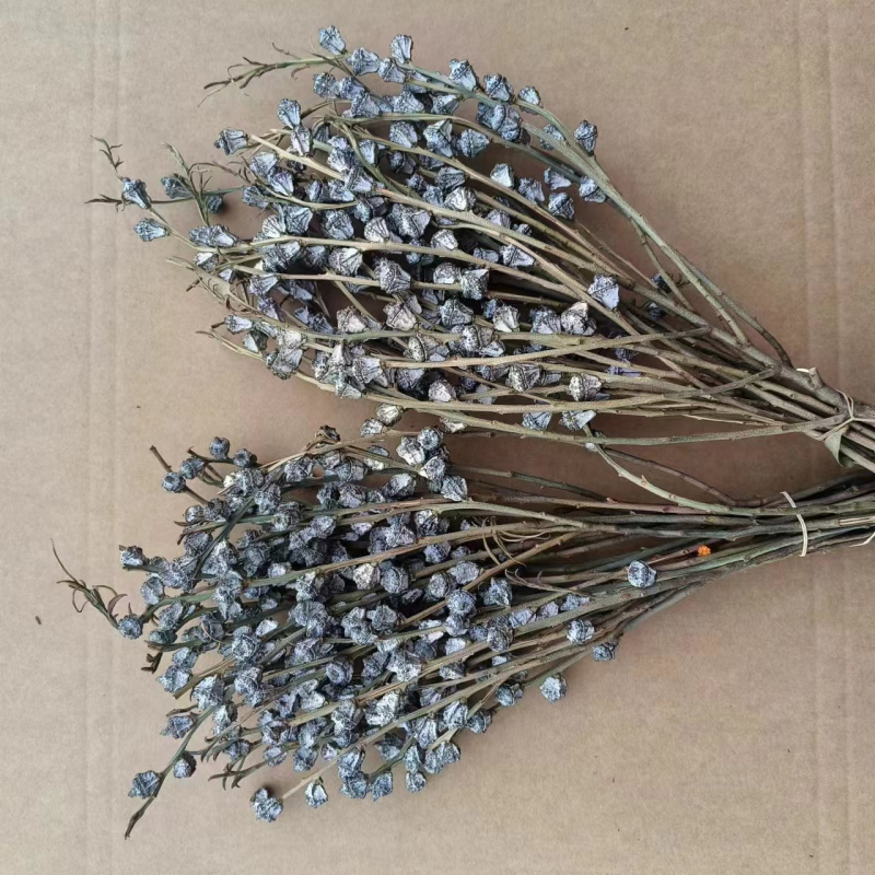 Szárított eukaliptusz virágok virágkosárhoz — típus: gyümölcs, fajta: eukaliptusz, színezés nélküli, csomagolás: karton