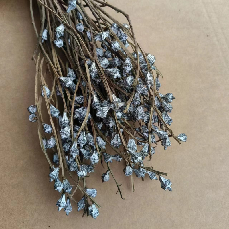 Szárított eukaliptusz virágok virágkosárhoz — típus: gyümölcs, fajta: eukaliptusz, színezés nélküli, csomagolás: karton