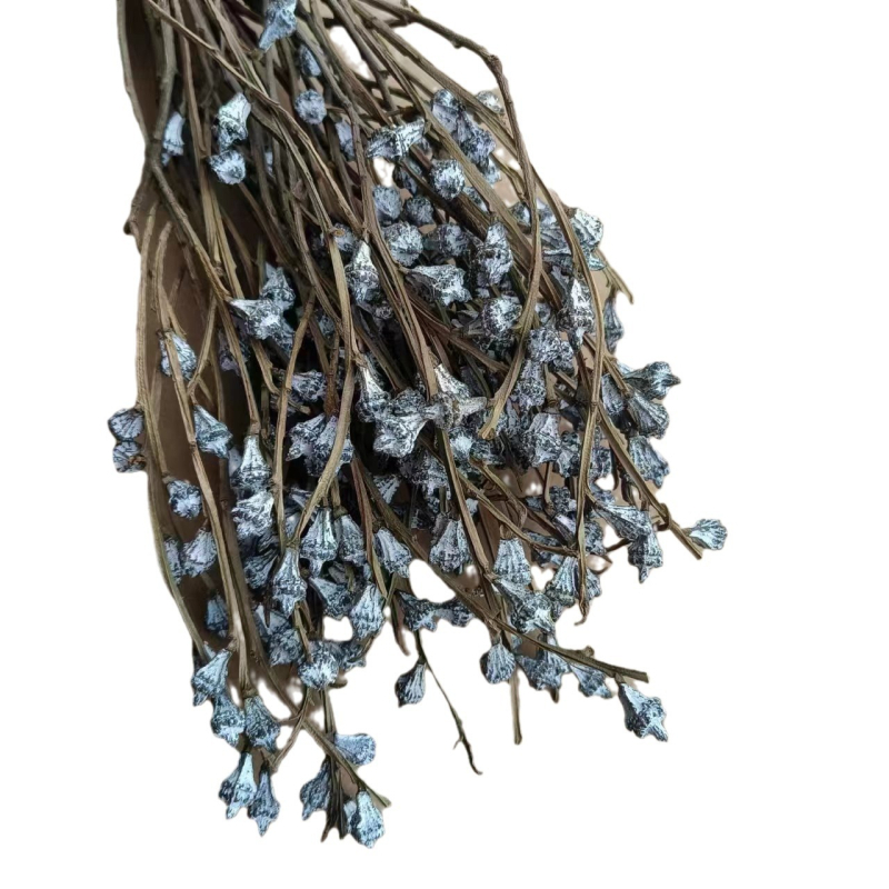 Szárított eukaliptusz virágok virágkosárhoz — típus: gyümölcs, fajta: eukaliptusz, színezés nélküli, csomagolás: karton