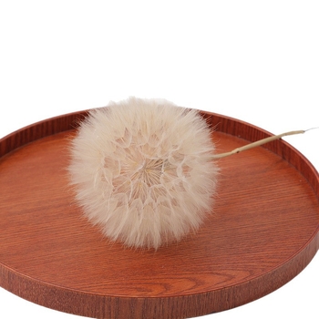 Păpădie gigantică uscată – flori nemurite, materiale DIY pentru decor, vază și recuzită pentru fotografii