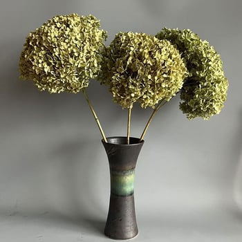 Floare uscată Hydrangea pentru decor acasă și aranjamente de nuntă | Categorie: Flori uscate; Tip: Hydrangea; Fără vopsire; Ambalare: Cutie de hârtie; Scop: Buchet