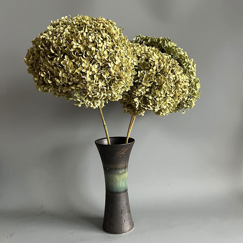 Floare uscată Hydrangea pentru decor acasă și aranjamente de nuntă | Categorie: Flori uscate; Tip: Hydrangea; Fără vopsire; Ambalare: Cutie de hârtie; Scop: Buchet