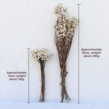 Sušené a večné kvety – DIY materiál pre rekvizity na fotenie a domovú dekoráciu – Linzi Flowers | Materiál: Sušené kvety; Večné kvety | Spracovanie: Iné | Značka: Linzi Flowers | Darovacie príležitosti: Absolvovanie, Nový dom, Párty, Sústrasť