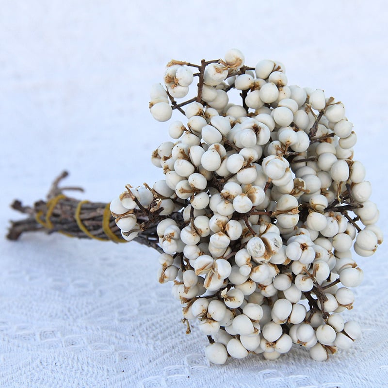 Сушени и вечни цветя – DIY материал за реквизит за снимки и домашна декорация – Linzi Flowers | Материал: сушени цветя; вечни цветя | Процес: Друг | Бранд: Linzi Flowers | Подходящи поводи за подаръци: завършване, нов дом, партита, съболезнование