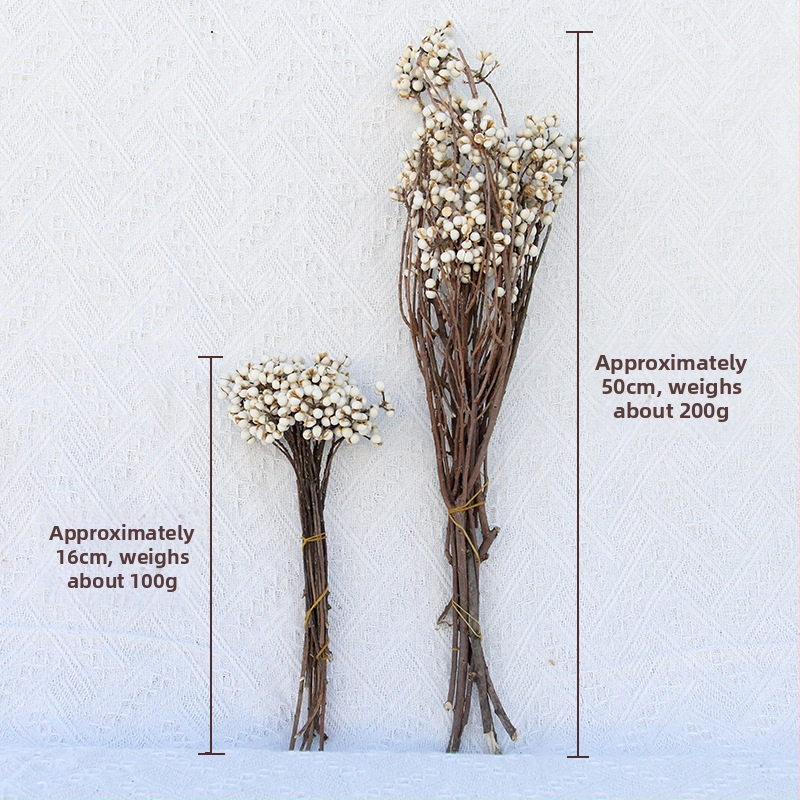 Sušené a večné kvety – DIY materiál pre rekvizity na fotenie a domovú dekoráciu – Linzi Flowers | Materiál: Sušené kvety; Večné kvety | Spracovanie: Iné | Značka: Linzi Flowers | Darovacie príležitosti: Absolvovanie, Nový dom, Párty, Sústrasť