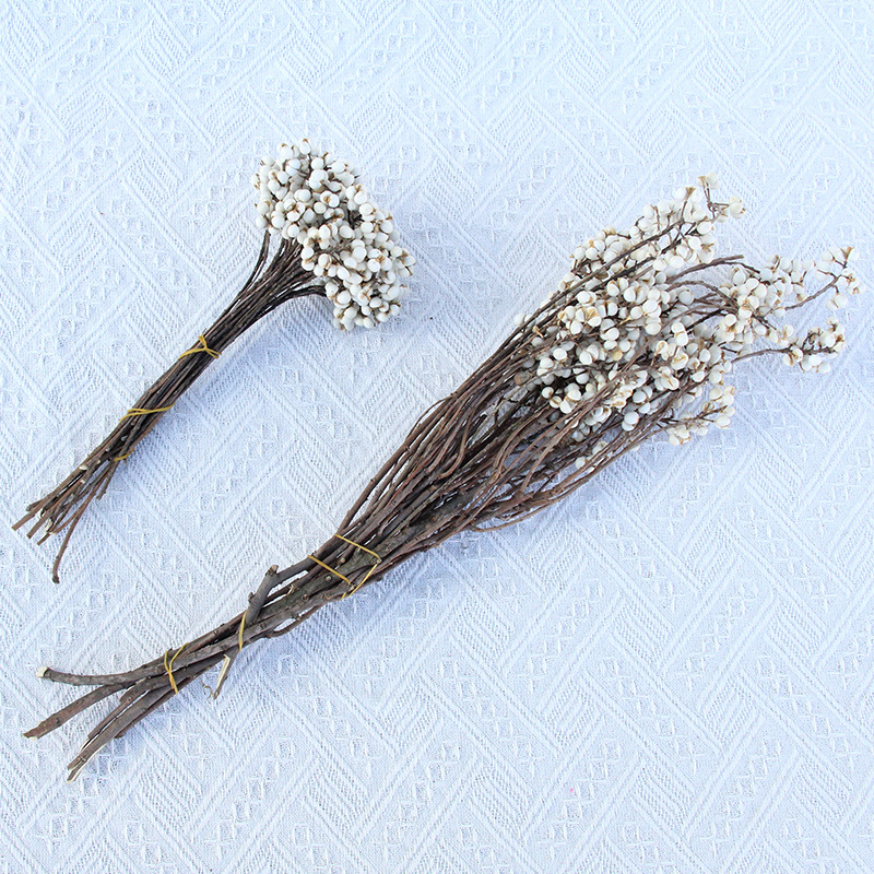 Сушени и вечни цветя – DIY материал за реквизит за снимки и домашна декорация – Linzi Flowers | Материал: сушени цветя; вечни цветя | Процес: Друг | Бранд: Linzi Flowers | Подходящи поводи за подаръци: завършване, нов дом, партита, съболезнование