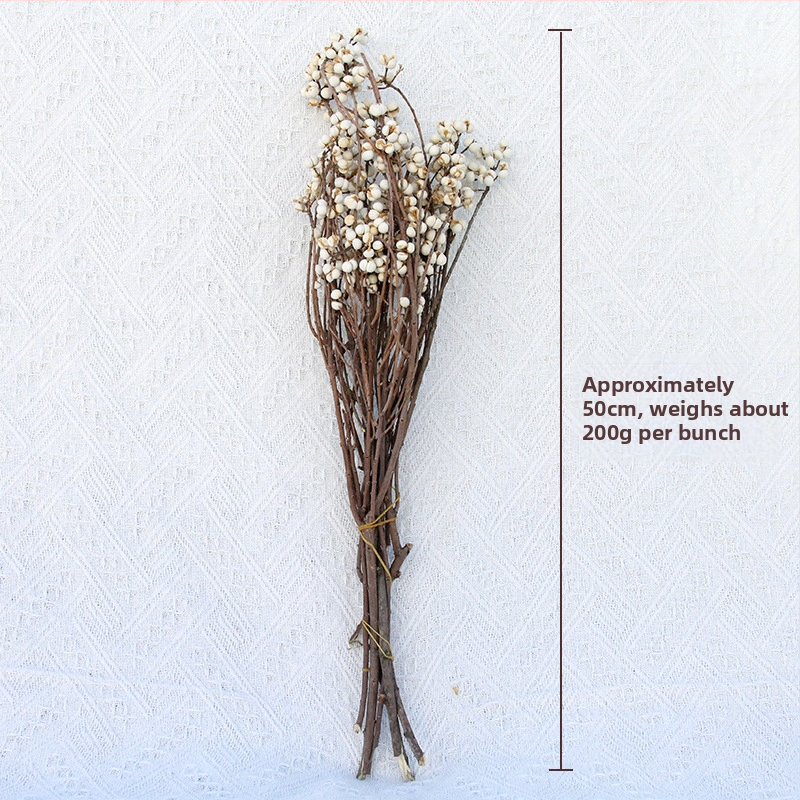 Sušené a večné kvety – DIY materiál pre rekvizity na fotenie a domovú dekoráciu – Linzi Flowers | Materiál: Sušené kvety; Večné kvety | Spracovanie: Iné | Značka: Linzi Flowers | Darovacie príležitosti: Absolvovanie, Nový dom, Párty, Sústrasť
