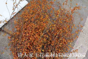 Ramuri pentru aranjamente în coșuri de flori, cu textură de vene uscate ale frunzelor, necolorate, neimportate