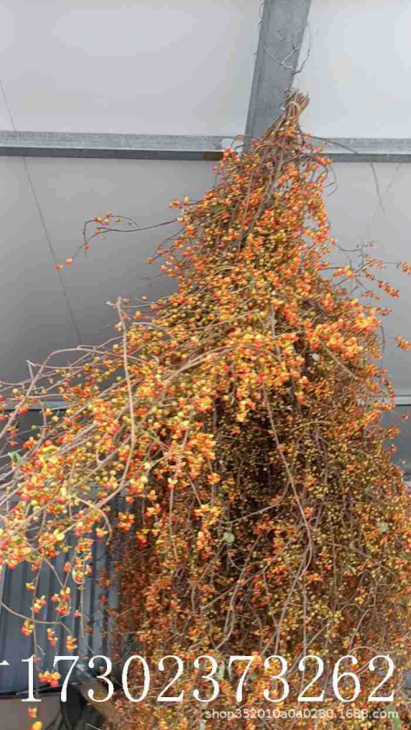 Ramuri pentru aranjamente în coșuri de flori, cu textură de vene uscate ale frunzelor, necolorate, neimportate