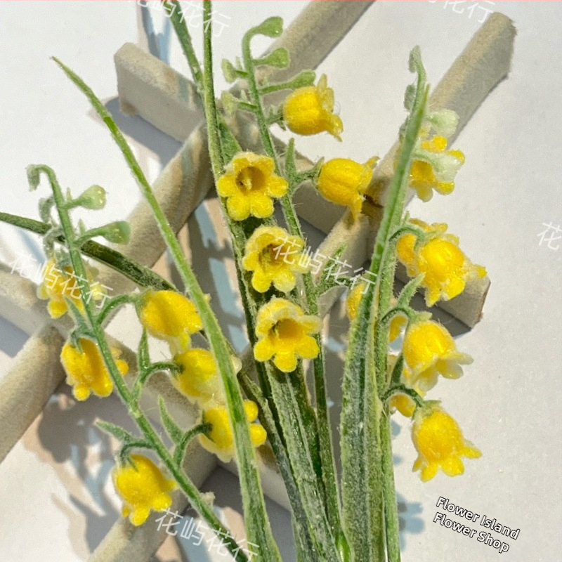 DIY komplekts mūžīgajiem ziediem – mājas dekora mākslīgais flokētais pušķis, gatavs dāvanai (Kods: Gf 16107 b; Materiāls: Cits; Veids: Lily; Dāvanu pasākumi: Absolvēšana, Ceļojumu suvenīrs, Balles sanāksme)