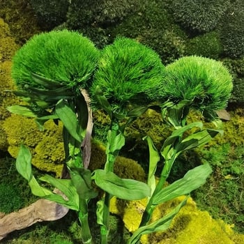 Композиция от сушени и вечни цветя за сватбена и офисна декорация (Марка: Flower ruyu flower house)