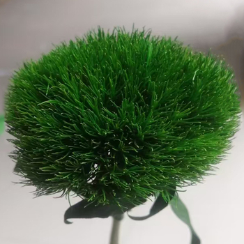 Композиция от сушени и вечни цветя за сватбена и офисна декорация (Марка: Flower ruyu flower house)