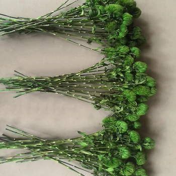 Композиция от сушени и вечни цветя за сватбена и офисна декорация (Марка: Flower ruyu flower house)