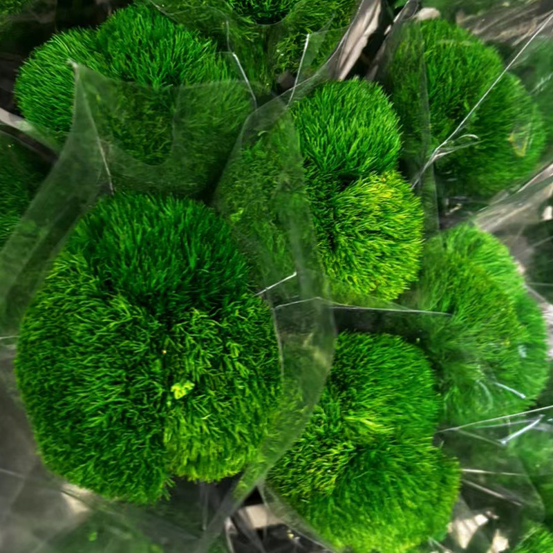 Композиция от сушени и вечни цветя за сватбена и офисна декорация (Марка: Flower ruyu flower house)