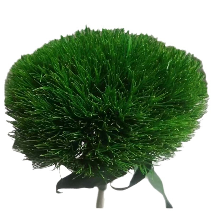 Композиция от сушени и вечни цветя за сватбена и офисна декорация (Марка: Flower ruyu flower house)