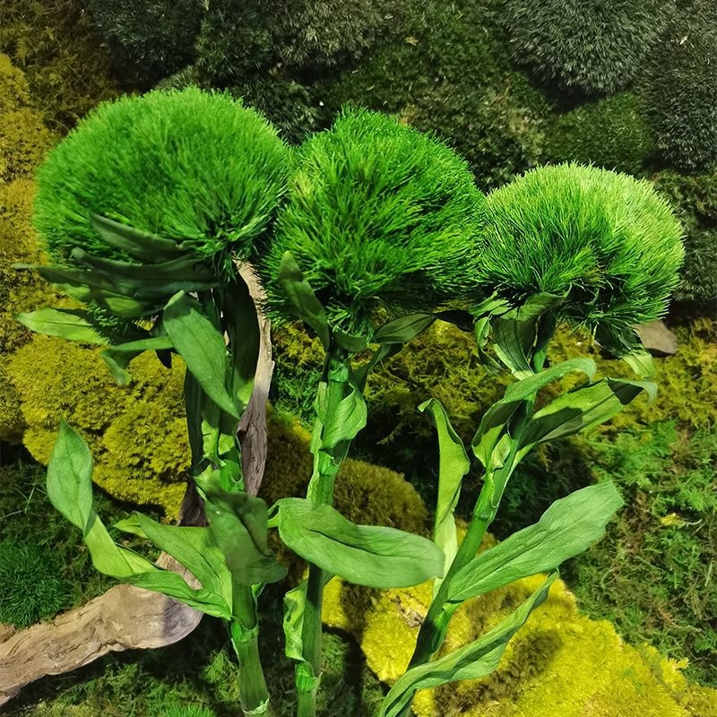 Композиция от сушени и вечни цветя за сватбена и офисна декорация (Марка: Flower ruyu flower house)