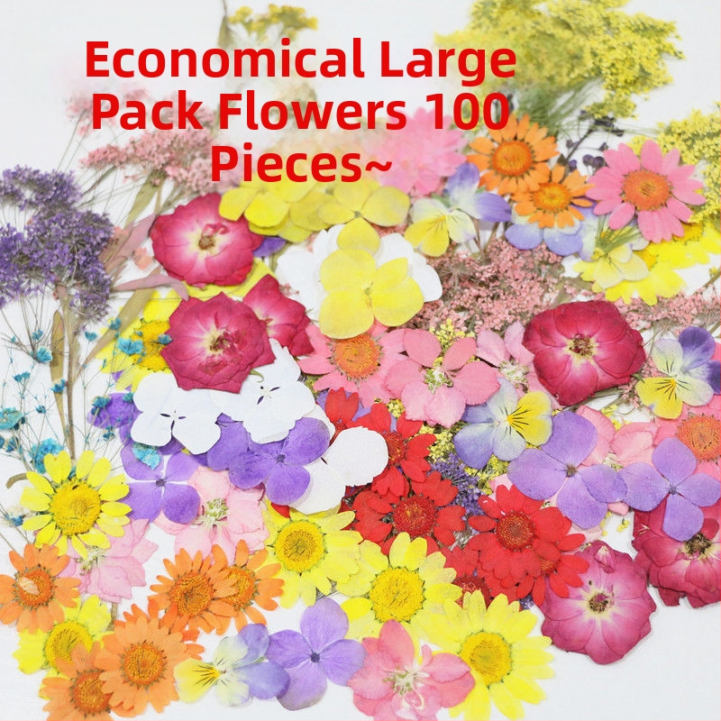 Žāvētu ziedu paraugi DIY amatniecībai, sveķu mākslai un fotografēšanai – krāsoti žāvēti ziedi