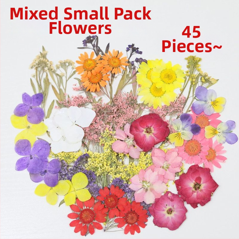 Žāvētu ziedu paraugi DIY amatniecībai, sveķu mākslai un fotografēšanai – krāsoti žāvēti ziedi