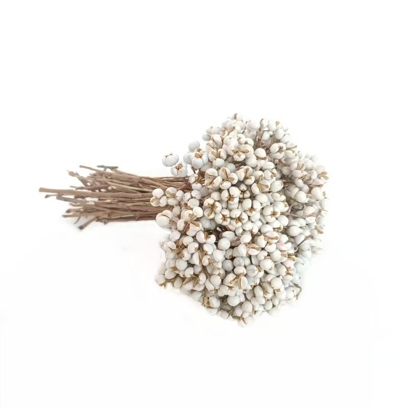 Flori uscate cu Ginkgo și fructe de salcie pentru decor interior, recuzită pentru fotografie, accesorii DIY pentru cutii cadou