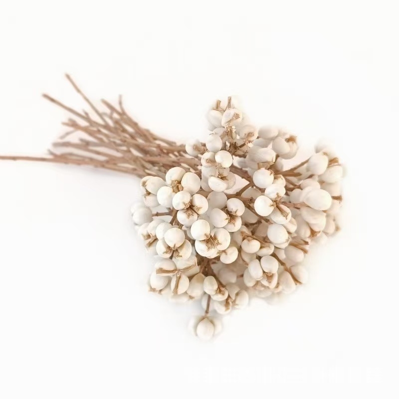 Flori uscate cu Ginkgo și fructe de salcie pentru decor interior, recuzită pentru fotografie, accesorii DIY pentru cutii cadou