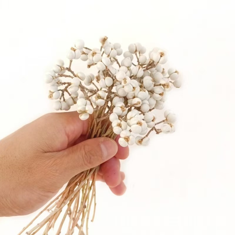 Flori uscate cu Ginkgo și fructe de salcie pentru decor interior, recuzită pentru fotografie, accesorii DIY pentru cutii cadou