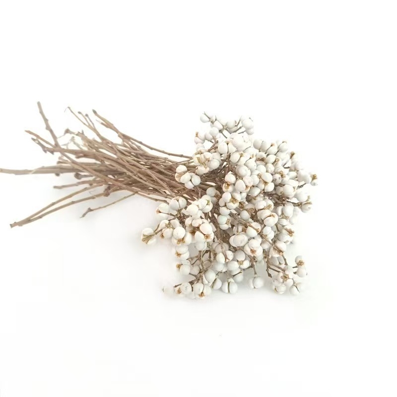 Flori uscate cu Ginkgo și fructe de salcie pentru decor interior, recuzită pentru fotografie, accesorii DIY pentru cutii cadou