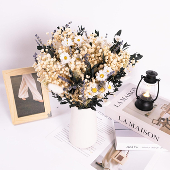 Ramuri de lavandă cu flori uscate conservate — Beautiful collection, flori uscate cu venele frunzelor