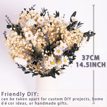 Ramuri de lavandă cu flori uscate conservate — Beautiful collection, flori uscate cu venele frunzelor