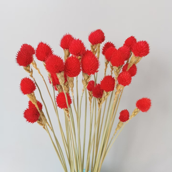 Букет от изсушени цветя, ръчна изработка, вариант ягодов плод, марка Maple Forest Dried Flowers, подходящ за сватбена украса и домашна декорация