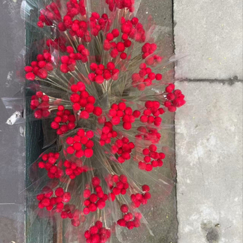 Букет от изсушени цветя, ръчна изработка, вариант ягодов плод, марка Maple Forest Dried Flowers, подходящ за сватбена украса и домашна декорация