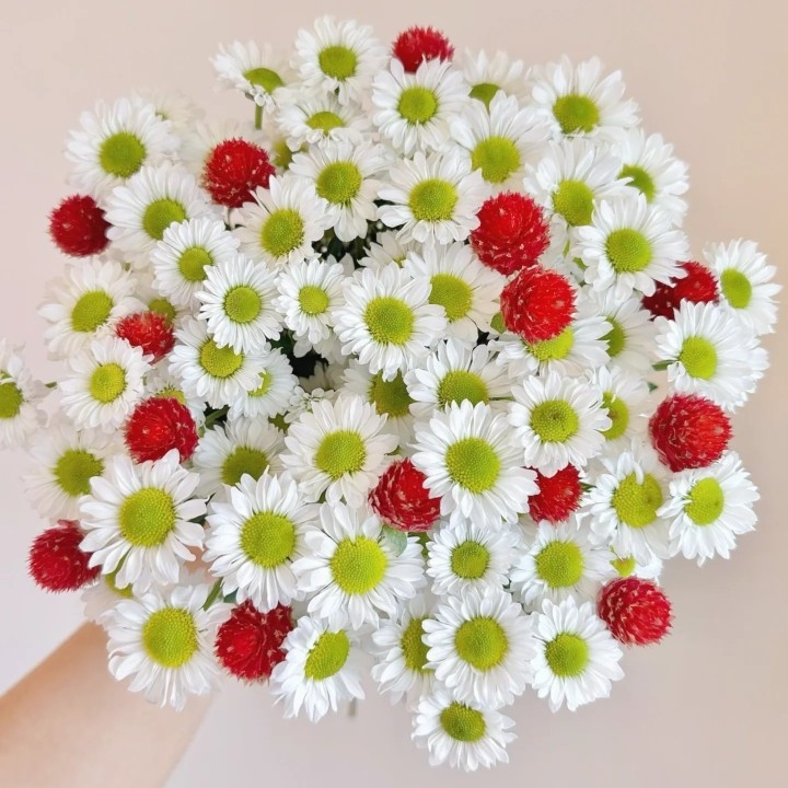 Букет от изсушени цветя, ръчна изработка, вариант ягодов плод, марка Maple Forest Dried Flowers, подходящ за сватбена украса и домашна декорация