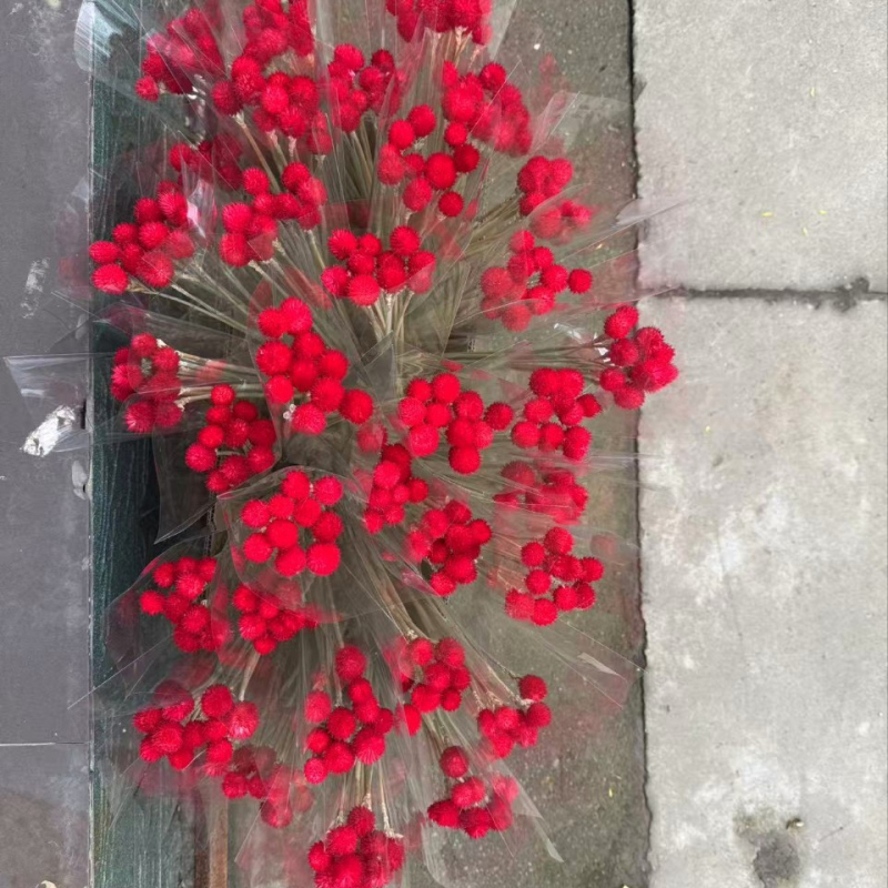 Букет от изсушени цветя, ръчна изработка, вариант ягодов плод, марка Maple Forest Dried Flowers, подходящ за сватбена украса и домашна декорация