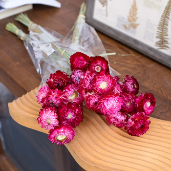 Virág: gabonaszálból készült krizantémok, természetes szárított virágcsokor Lime