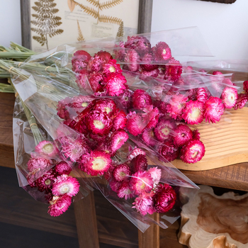 Virág: gabonaszálból készült krizantémok, természetes szárított virágcsokor Lime