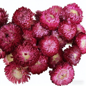 Virág: gabonaszálból készült krizantémok, természetes szárított virágcsokor Lime